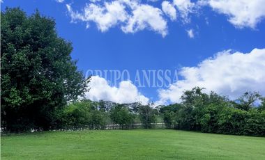 Oportunidad! Venta de Terreno Residencial en Punta Barco, San Carlos