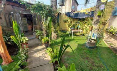 VENTA CASA CON LOCAL MERLO LIBERTAD