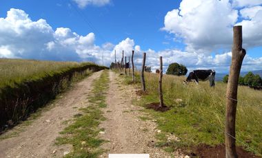 FINCA en VENTA en Chivata VEREDA SIATOCA