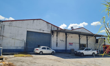 Bodega en Renta San Román