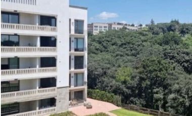 GRAN DEPARTAMENTO AMUEBLADO EN RENTA