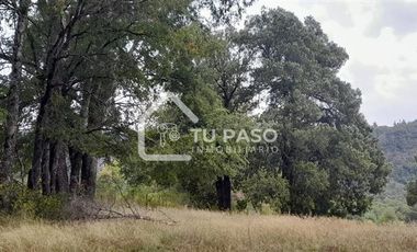 Parcela en Venta en Kilómetro 58 camino Termas de chillan