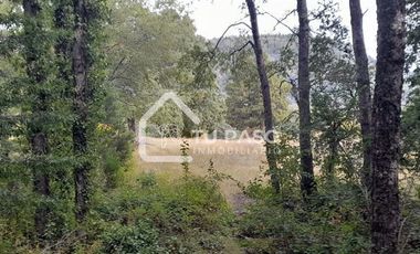 Parcela en Venta en Kilómetro 58 camino Termas de chillan