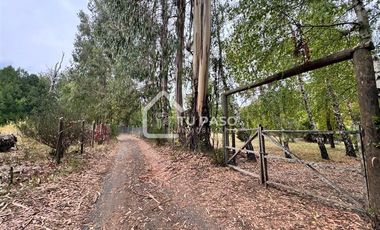 Parcela en Venta en Kilómetro 58 camino Termas de chillan