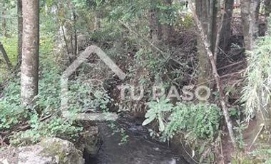 Parcela en Venta en Kilómetro 58 camino Termas de chillan