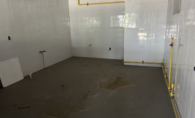 Renta Local Plaza Leona 174 m2 Metepec, Estado de México