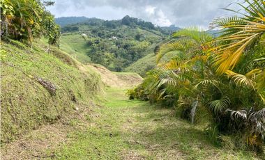 Se vende Lote en Dosquebradas