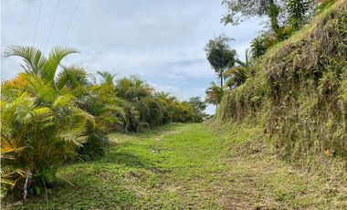 Se vende Lote en Dosquebradas