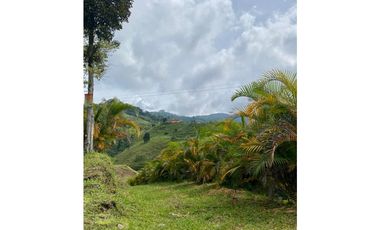 Se vende Lote en Dosquebradas