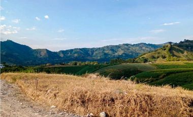 Lotes campestres en condominio Combia