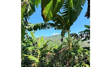 SE VENDE FINCA EN LA VEREDA CEDRAL BAJO