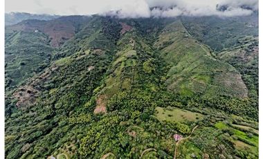 SE VENDE FINCA EN LA VEREDA CEDRAL BAJO