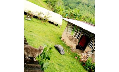 SE VENDE FINCA EN LA VEREDA CEDRAL BAJO