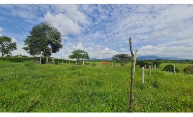 Lote multipropósito en Morelia, Pereira