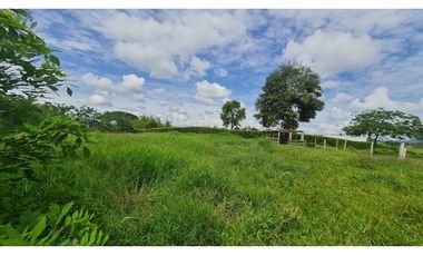 Lote multipropósito en Morelia, Pereira