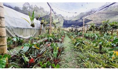 Terreno de 1.000m²  En el sector de Gaitán vía la Florida - Pereira