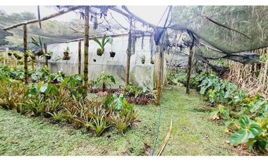 Terreno de 1.000m²  En el sector de Gaitán vía la Florida - Pereira