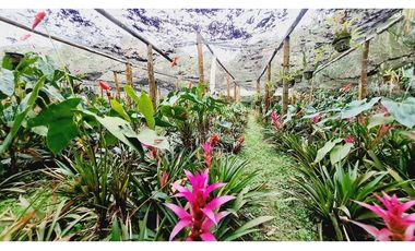 Terreno de 1.000m²  En el sector de Gaitán vía la Florida - Pereira