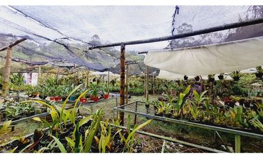 Terreno de 1.000m²  En el sector de Gaitán vía la Florida - Pereira