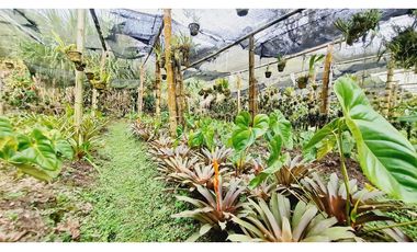 Terreno de 1.000m²  En el sector de Gaitán vía la Florida - Pereira