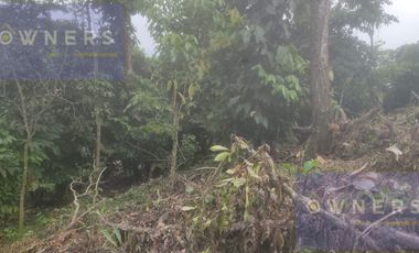 VENTA FINCA CANTON URDANETA / PROV. LOS RIOS 3.6 HCTS. (AGE)