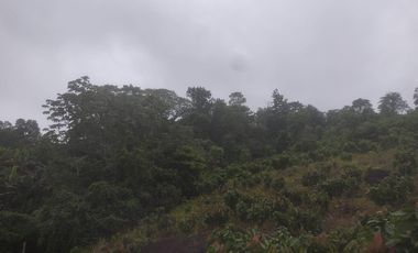 VENTA FINCA CANTON URDANETA / PROV. LOS RIOS 3.6 HCTS. (AGE)