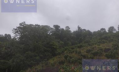 VENTA FINCA CANTON URDANETA / PROV. LOS RIOS 3.6 HCTS. (AGE)