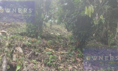 VENTA FINCA CANTON URDANETA / PROV. LOS RIOS 3.6 HCTS. (AGE)
