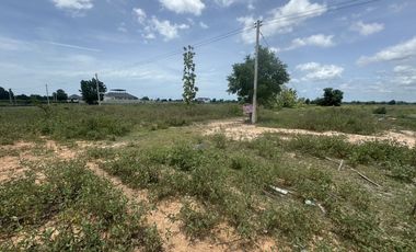 Land for sale in Sam Phraya, Phetchaburi