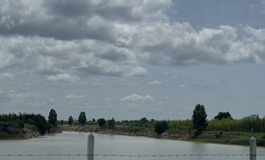 Land for sale in Sam Phraya, Phetchaburi