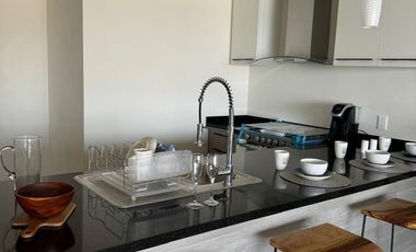 GRANDE Y LUJOSO PENTHOUSE CON INCREIBLE VISTA!