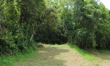 Venta de lote de 4506 M2 en 190 mill en San Joaquín - La Mesa Cund
