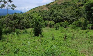 Venta de lote de 4506 M2 en 190 mill en San Joaquín - La Mesa Cund