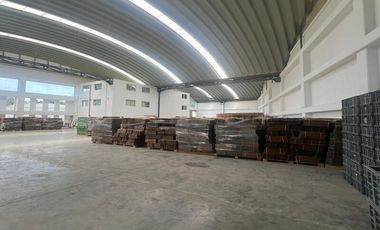 BODEGA EN ARRIENDO UBICADO EN GUARNE SECTOR VEREDA TOLDAS