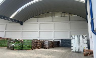 BODEGA EN ARRIENDO UBICADO EN GUARNE SECTOR VEREDA TOLDAS
