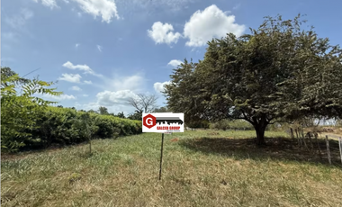 CORONADO / PLAYA SERENA / 1412M / TOTALMENTE PLANO / EN ESQUINA