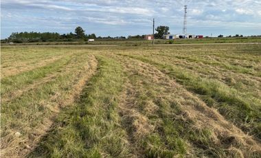 Vendo Terreno de 294 m2 en Caseros, Entre Ríos.