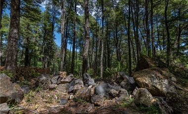 Parcela en venta Curarrehue a 45 KM  de Pucón