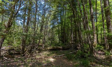 Parcela en venta Curarrehue a 45 KM  de Pucón