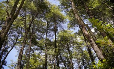 Parcela en venta Curarrehue a 45 KM  de Pucón