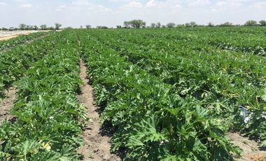 RANCHO EN VENTA LOS RAMONES