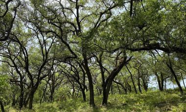 RANCHO EN VENTA LOS RAMONES