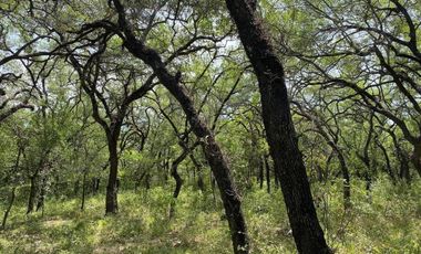 RANCHO EN VENTA LOS RAMONES