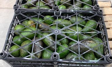 BODEGA EN VENTA EN OCAMPO, MICHOACAN.