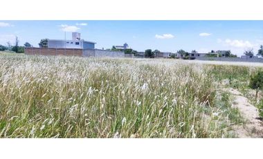 lotes en venta san Jorge Tezoquipan Tlaxcala