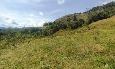Venta de lote campestre en Guatapé Antioquia
