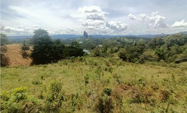 Venta de lote campestre en Guatapé Antioquia