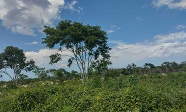 Terreno residencial con servicios en Conkal