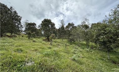 Venta de Lote en El Retiro Pantanillo