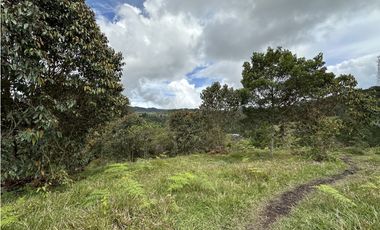Venta de Lote en El Retiro Pantanillo